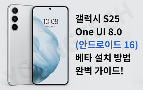 One UI 8.0 베타 설치