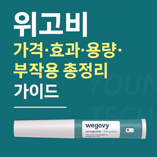 위고비 가격